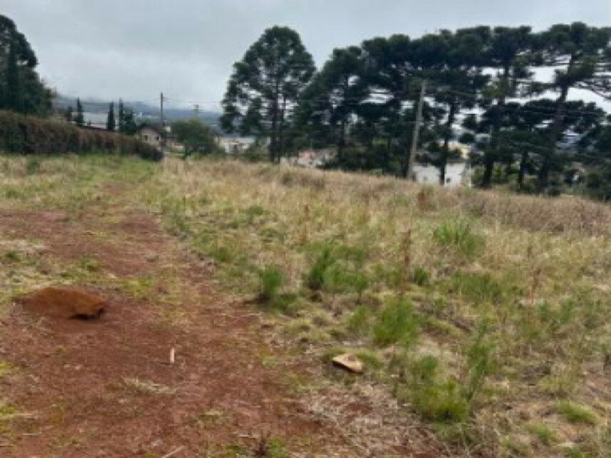 Imagem 4 do Leilão de Terreno - Várzea Grande - Gramado/RS