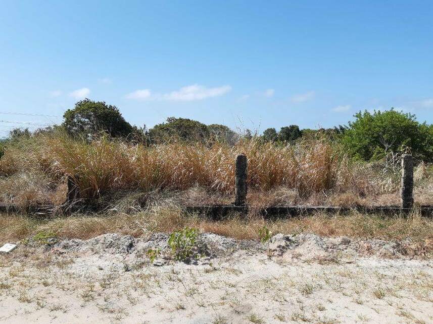 Imagem 46 do Leilão de Casa - Massagueira - Marechal Deodoro/AL