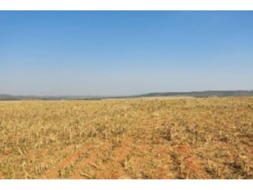 Imagem  do Leilão de Terrenos - Cidade Industrial de Luziânia - Luziânia/GO