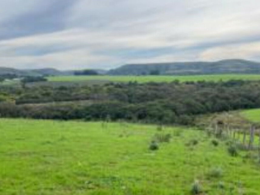Imagem 6 do Leilão de Chácara - Zona Rural - Rosário do Sul/RS