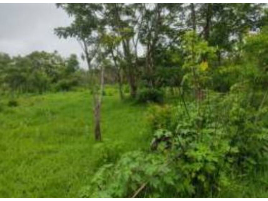 Imagem 24 do Leilão de Terreno - Chácaras Saia Velha - Cidade Ocidental/GO