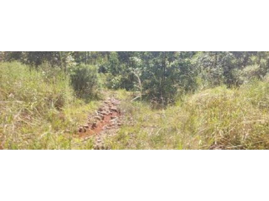 Imagem 3 do Leilão de Área Rural - Zona Rural - Vila Maria/RS