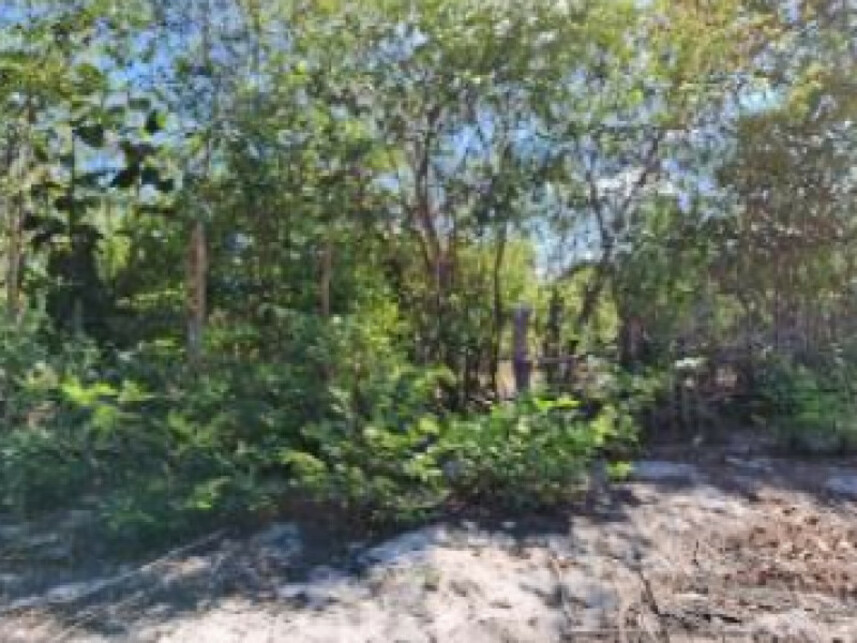 Imagem 3 do Leilão de Terreno - Curimatã - Pacajus/CE