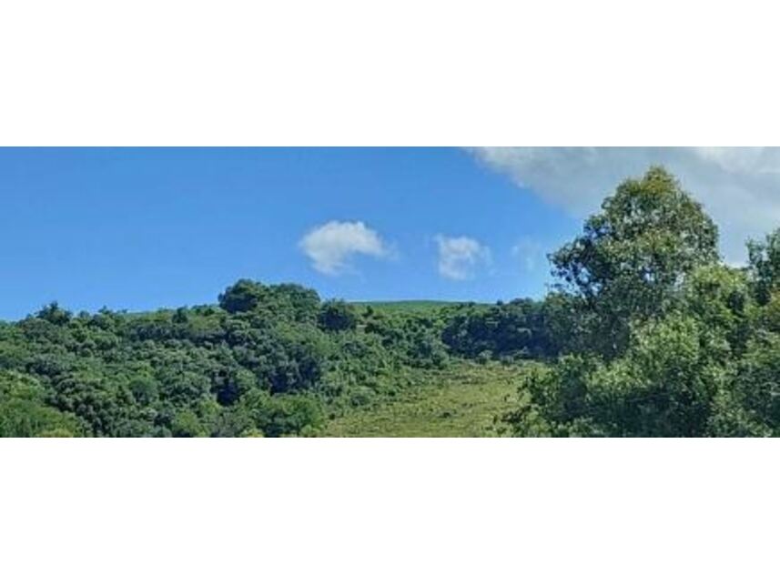 Imagem 6 do Leilão de Área Rural - Zona Rural - Vila Maria/RS