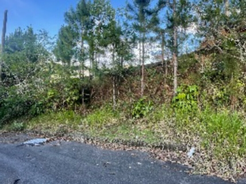 Imagem 3 do Leilão de Fazenda - Fazenda - Itajaí/SC