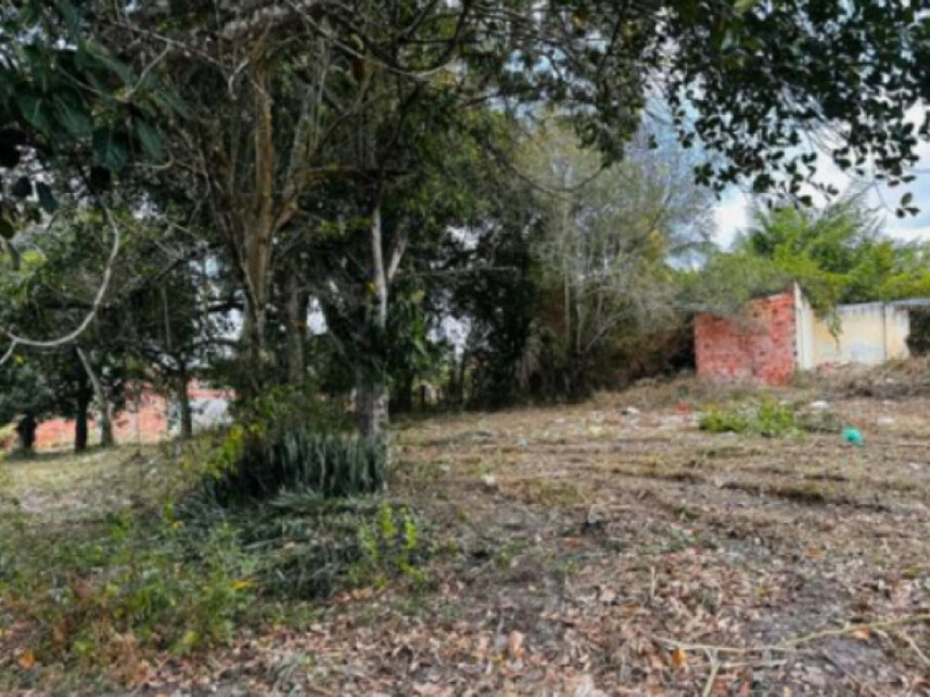Imagem 10 do Leilão de Terreno - Mangalô - Alagoinhas/BA