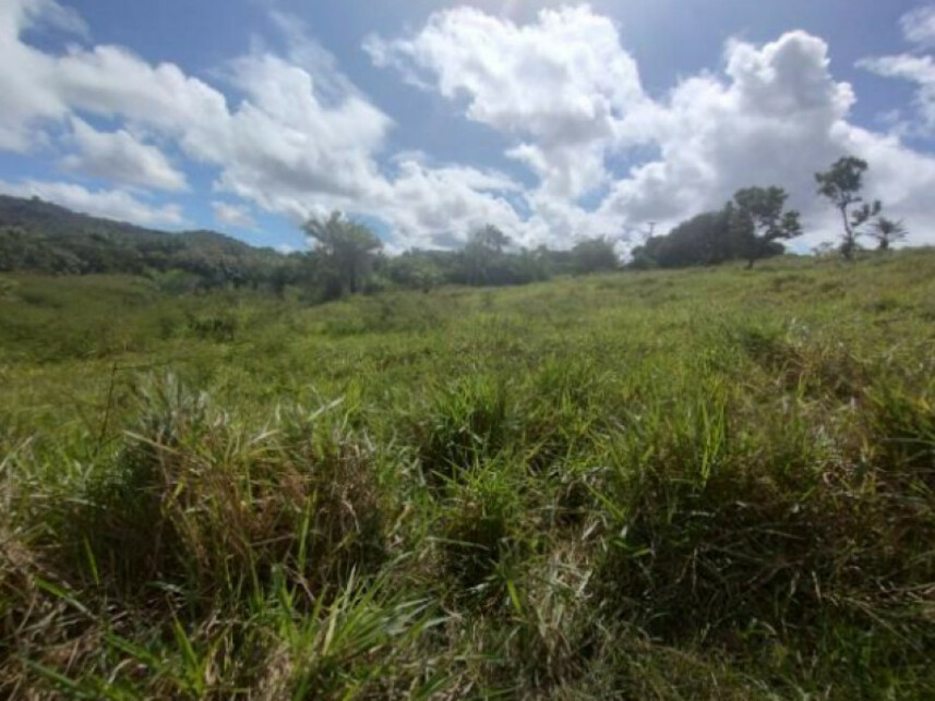 Imagem 4 do Leilão de Terreno - Parque das Margaridas - Salinas da Margarida/BA