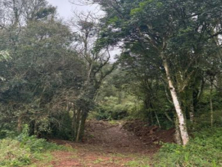 Imagem 7 do Leilão de Terreno - Várzea Grande - Gramado/RS