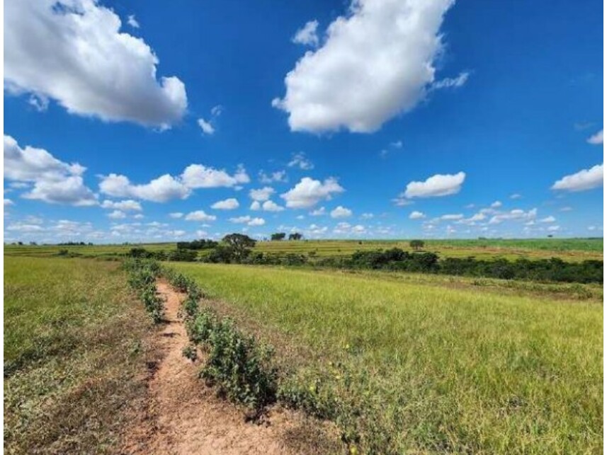 Imagem 6 do Leilão de Fazenda - Área Rural de Getulina - Getulina/SP