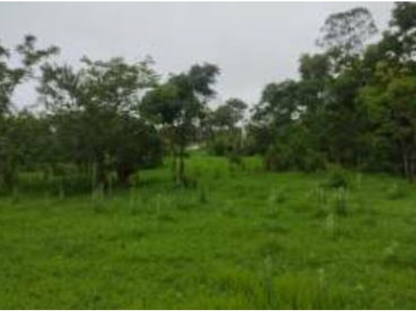 Imagem 4 do Leilão de Terreno - Chácaras Saia Velha - Cidade Ocidental/GO