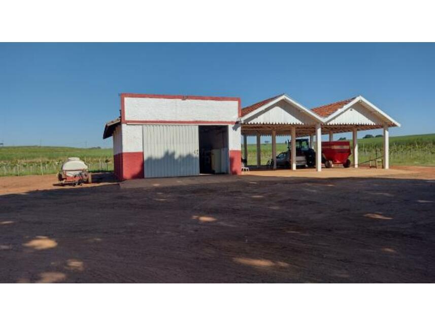 Imagem 15 do Leilão de Áreas Rurais - Gleba Pau Dalho - São João do Pau D'alho/SP