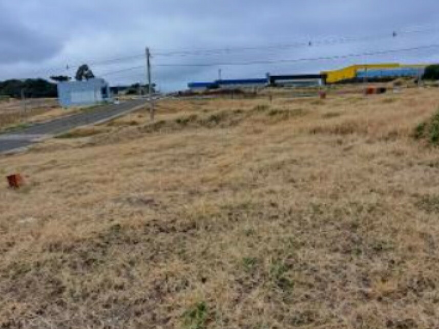 Imagem 2 do Leilão de Terreno - Industrial - Chapecó/SC