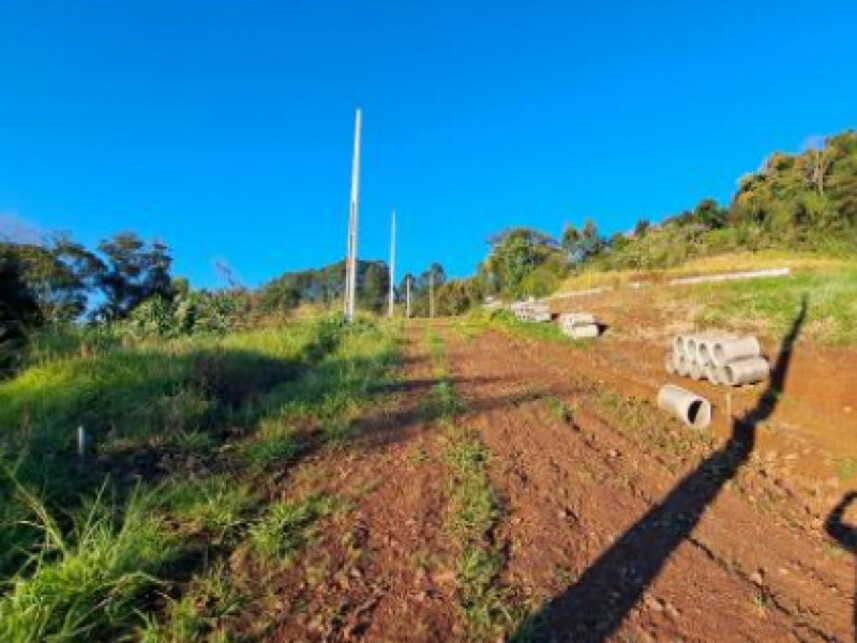 Imagem 3 do Leilão de Terreno - Interior - Cordilheira Alta/SC