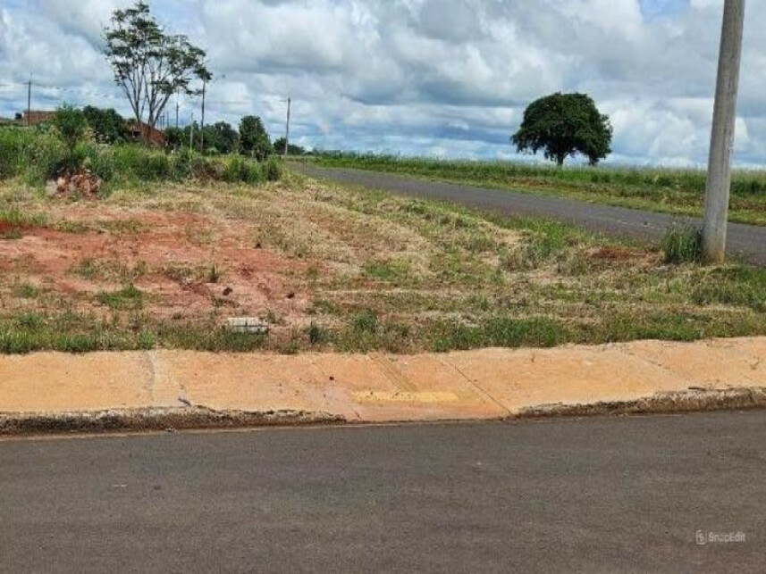 Imagem 3 do Leilão de Terreno - Centro - Piacatu/SP