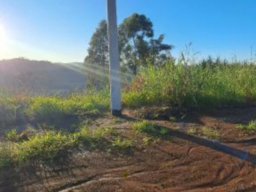 Imagem 8 do Leilão de Terreno - Interior - Cordilheira Alta/SC