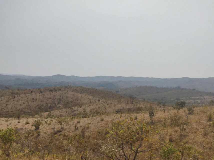 Imagem 4 do Leilão de Fazenda - Zona Rural - Lagamar/MG