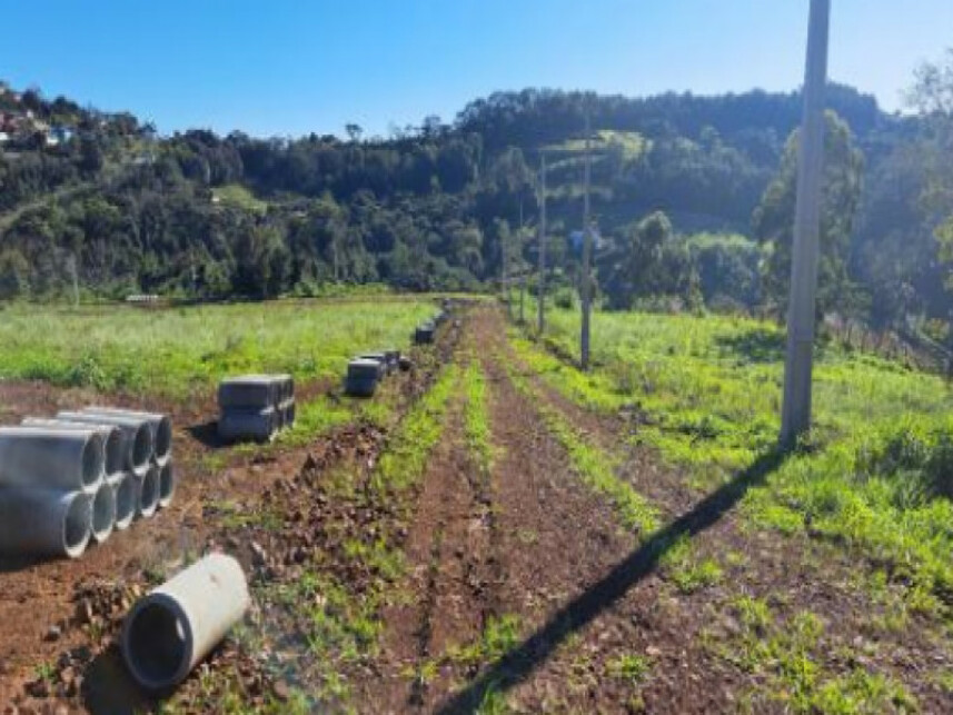 Imagem 2 do Leilão de Terreno - Interior - Cordilheira Alta/SC