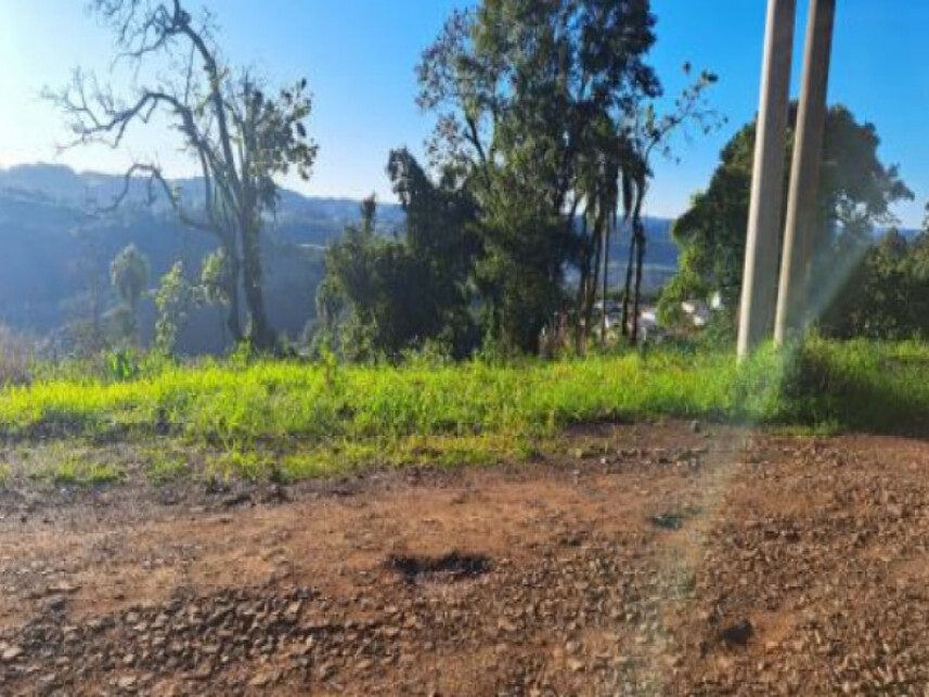 Imagem 2 do Leilão de Terreno - Interior - Cordilheira Alta/SC