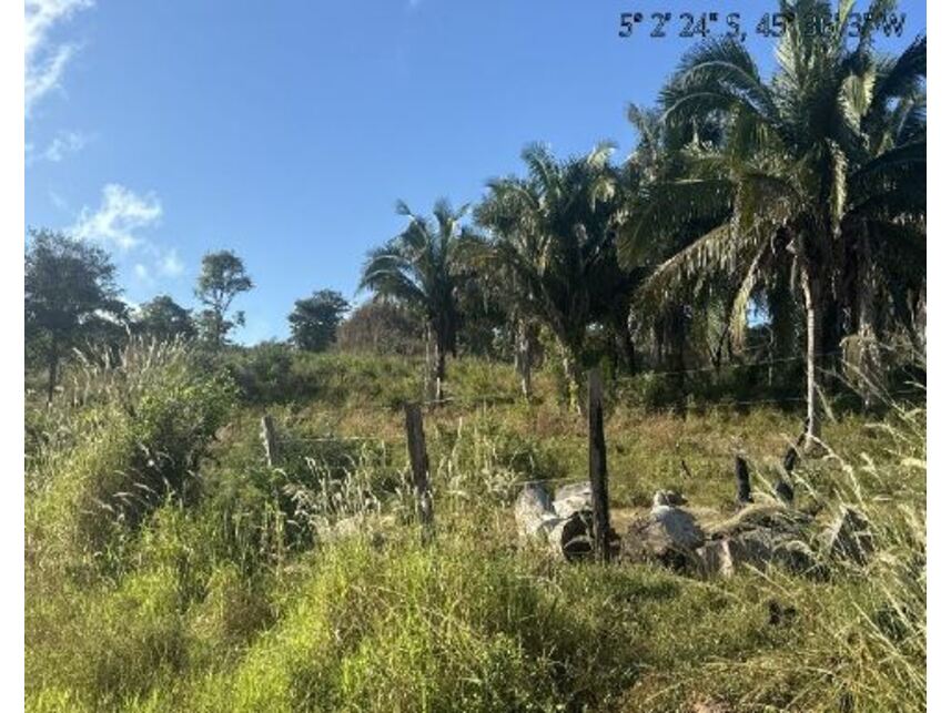 Imagem 9 do Leilão de Área Rural - Zona Rural - Itaipava do Grajaú/MA