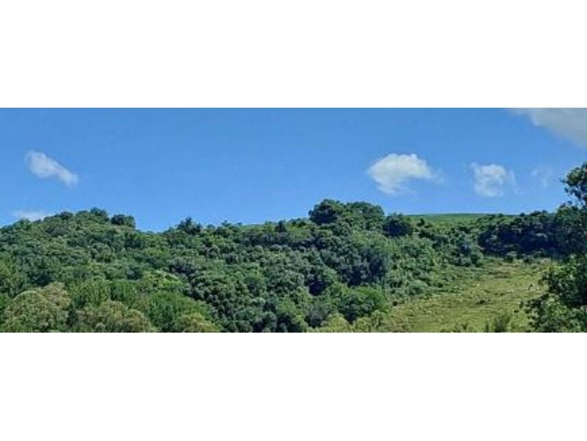 Imagem 4 do Leilão de Área Rural - Zona Rural - Vila Maria/RS