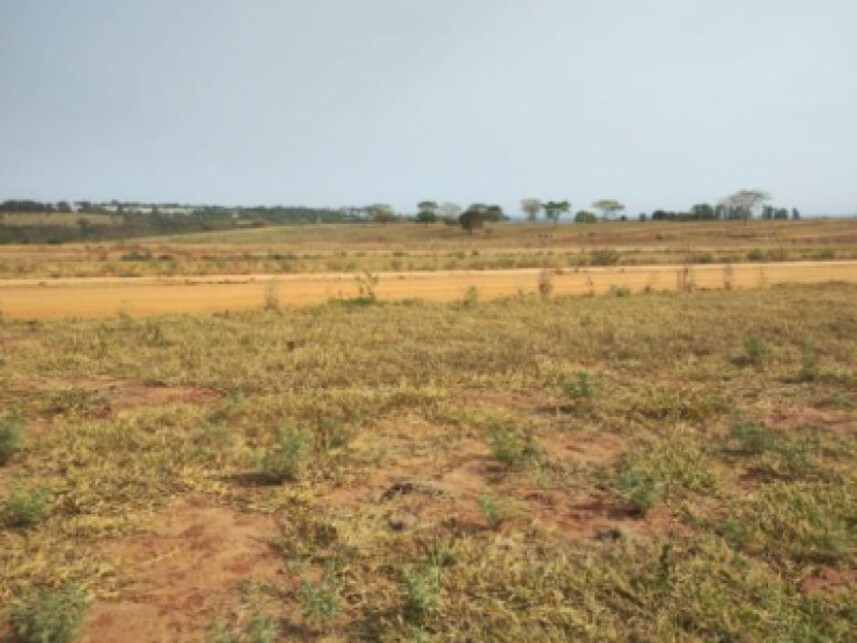 Imagem 3 do Leilão de Terreno - Jardim Botânico I - Marília/SP