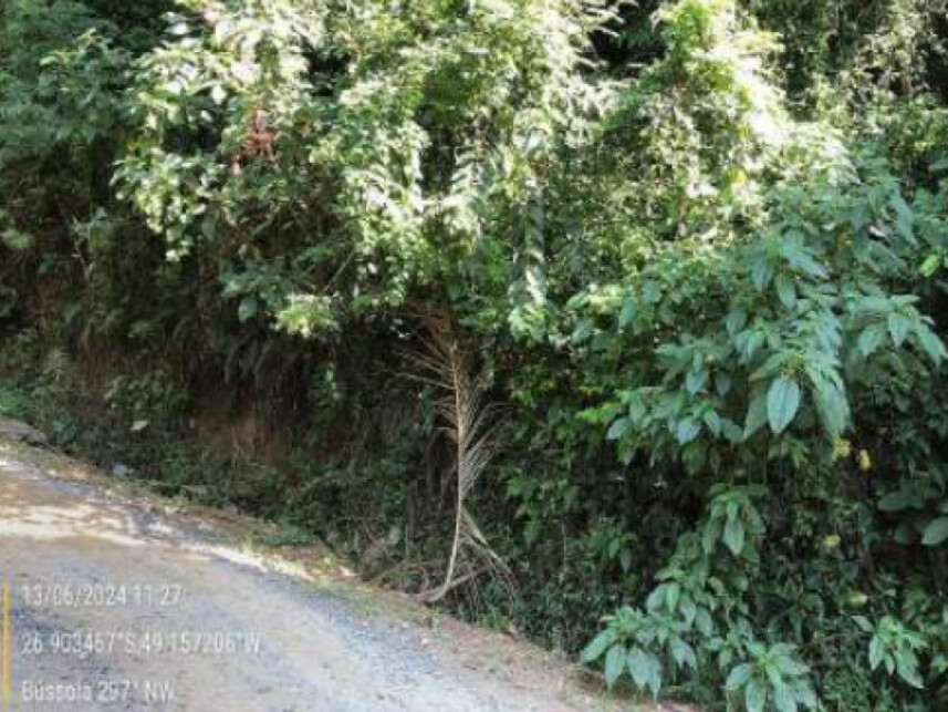 Imagem 11 do Leilão de Terreno - Passo Fundo - Blumenau/SC