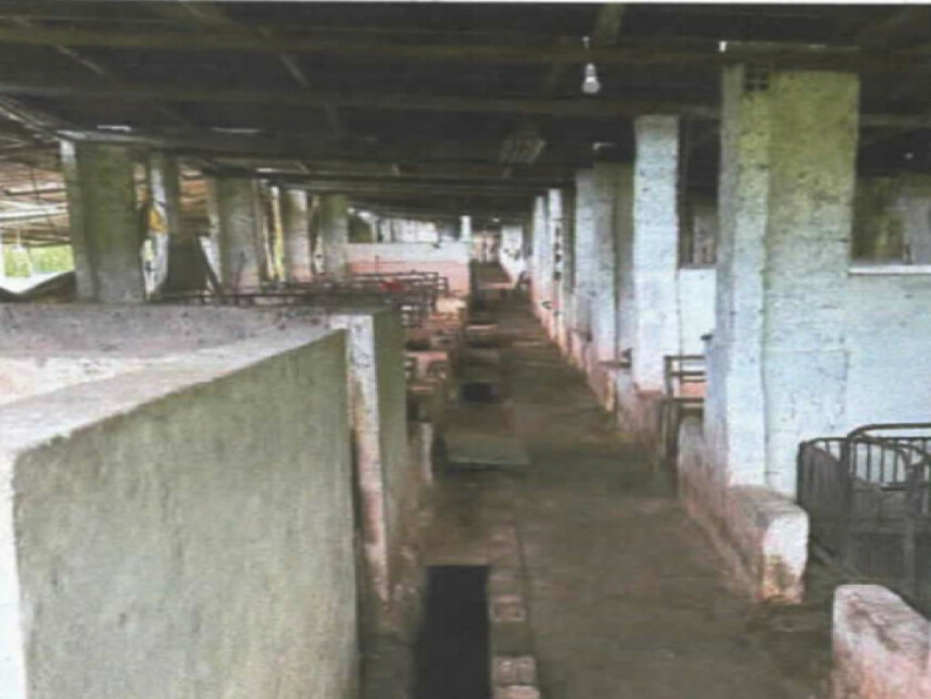 Imagem 3 do Leilão de Chácara - Zona Rura - Entre Rios/BA