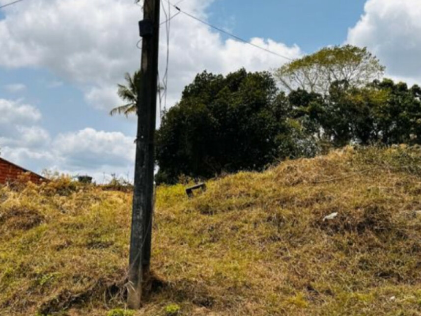 Imagem 5 do Leilão de Terreno - Mangalô - Alagoinhas/BA