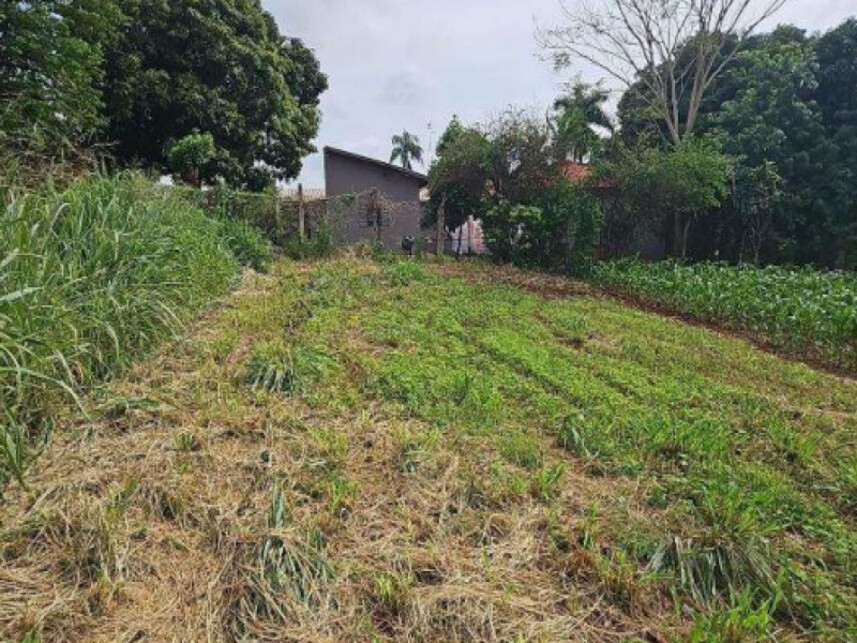 Imagem 5 do Leilão de Terreno - Centro - Morro Agudo/SP