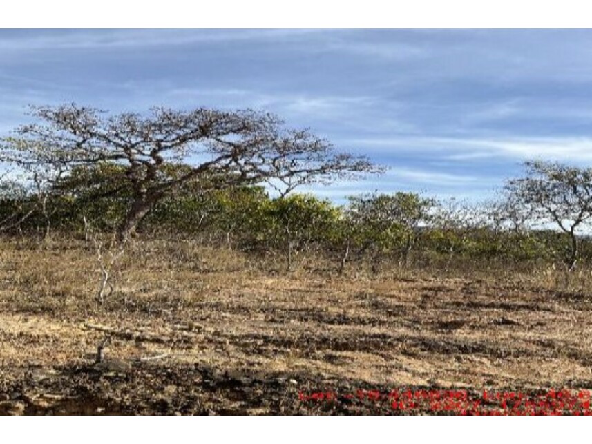 Imagem  do Leilão de Área Rural - Zona Rural - Buritis/MG