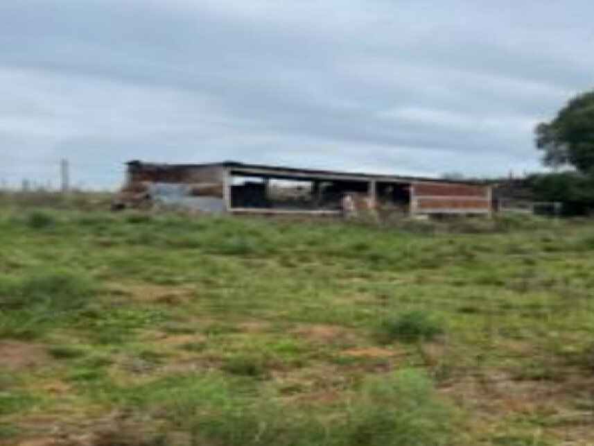 Imagem 3 do Leilão de Chácara - Zona Rural - Rosário do Sul/RS