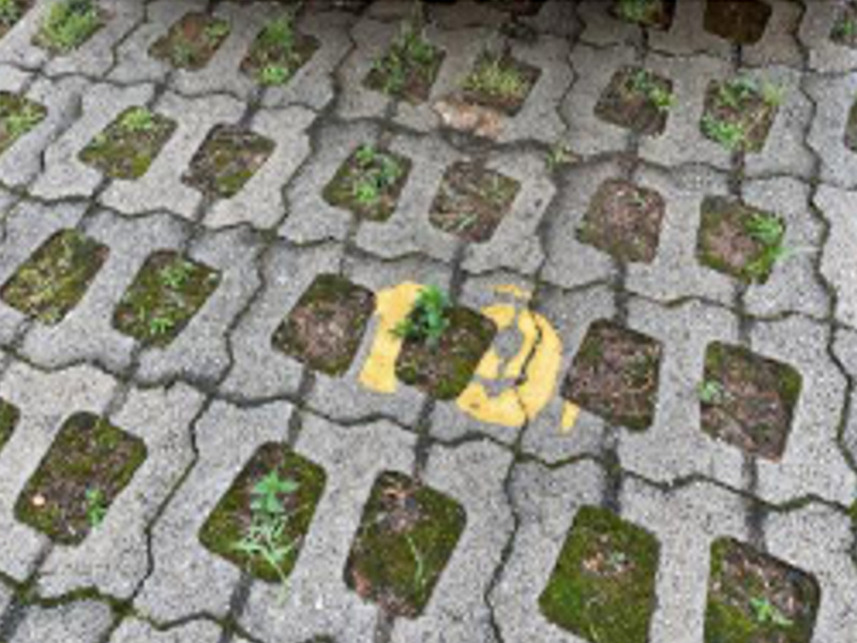 Imagem 2 do Leilão de Vagas de Garagem - Samambaia Sul - Brasilia/DF