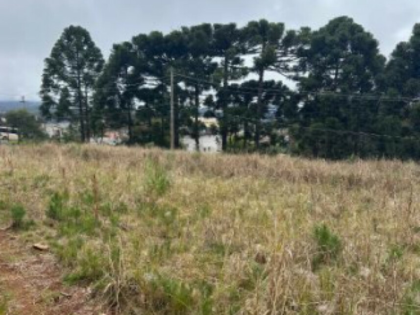 Imagem 6 do Leilão de Terreno - Várzea Grande - Gramado/RS