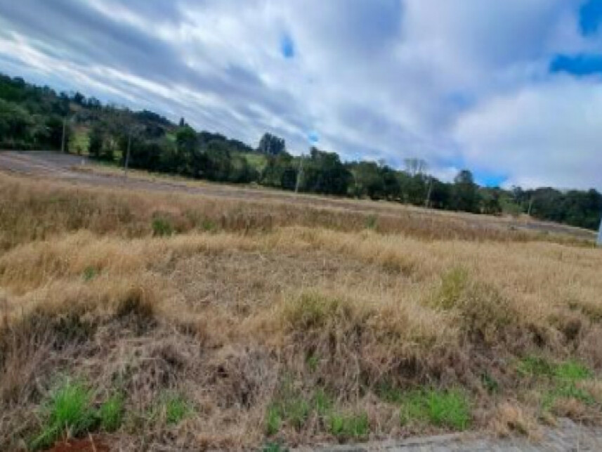 Imagem 2 do Leilão de Terreno - Industrial - Chapecó/SC
