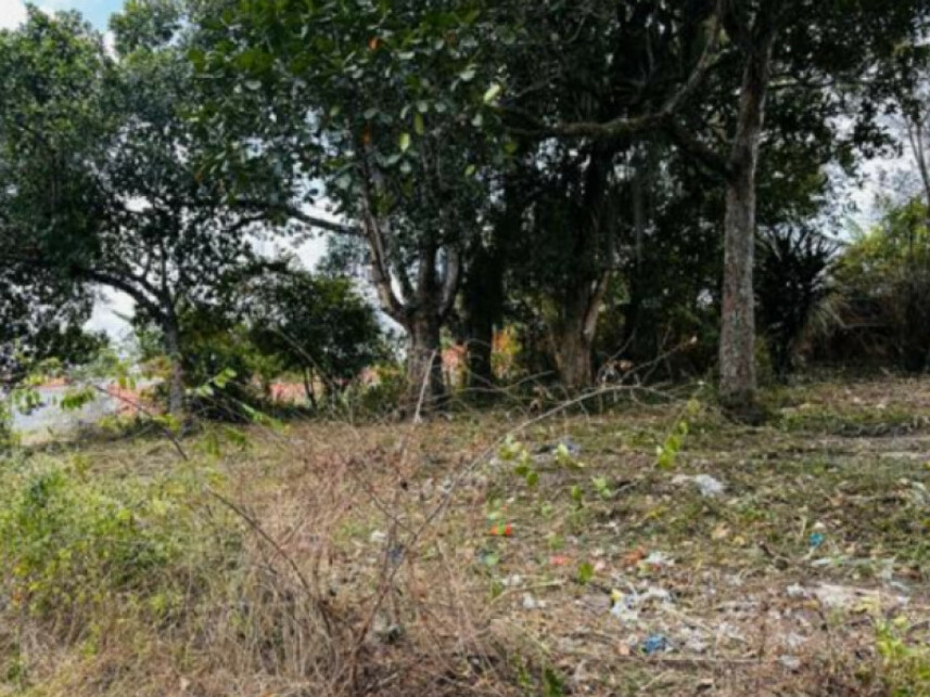 Imagem 3 do Leilão de Terreno - Mangalô - Alagoinhas/BA