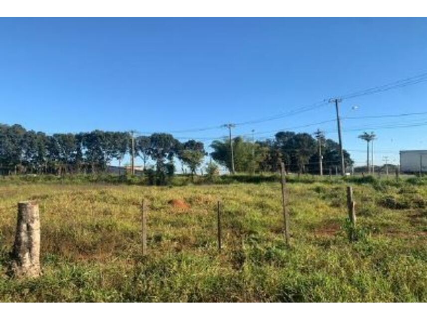 Imagem 8 do Leilão de Terreno - Jardim Novo Mundo - Goiânia/GO