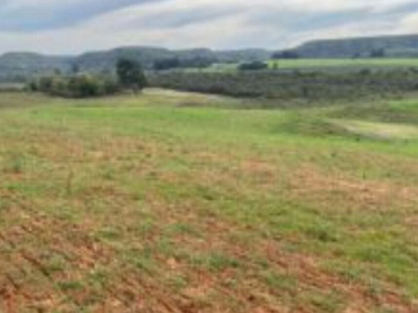 Imagem 4 do Leilão de Chácara - Zona Rural - Rosário do Sul/RS