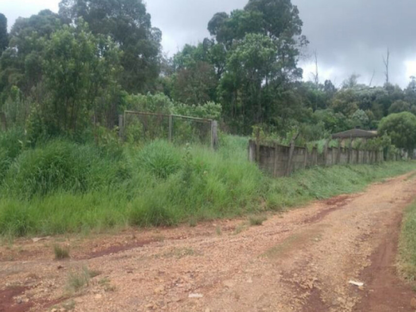 Imagem 4 do Leilão de Terreno - Colônia Dona Luíza - Ponta Grossa/PR