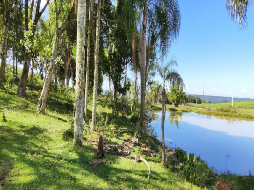 Imagem 6 do Leilão de Fazenda - Costão do Frade - Bom Retiro/SC