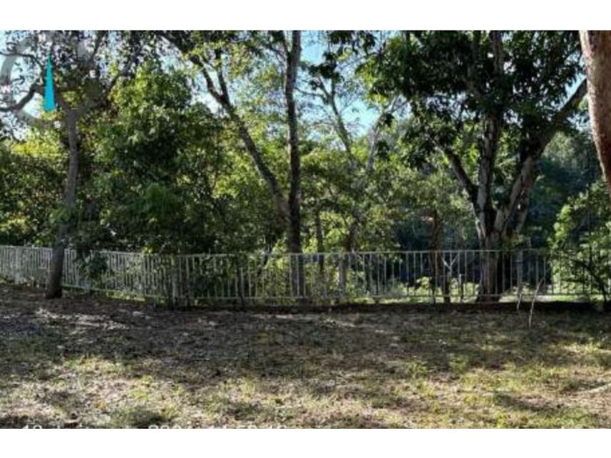 Imagem 5 do Leilão de Chácara - Sítio de Recreio Coxipó do Ouro - Cuiabá/MT