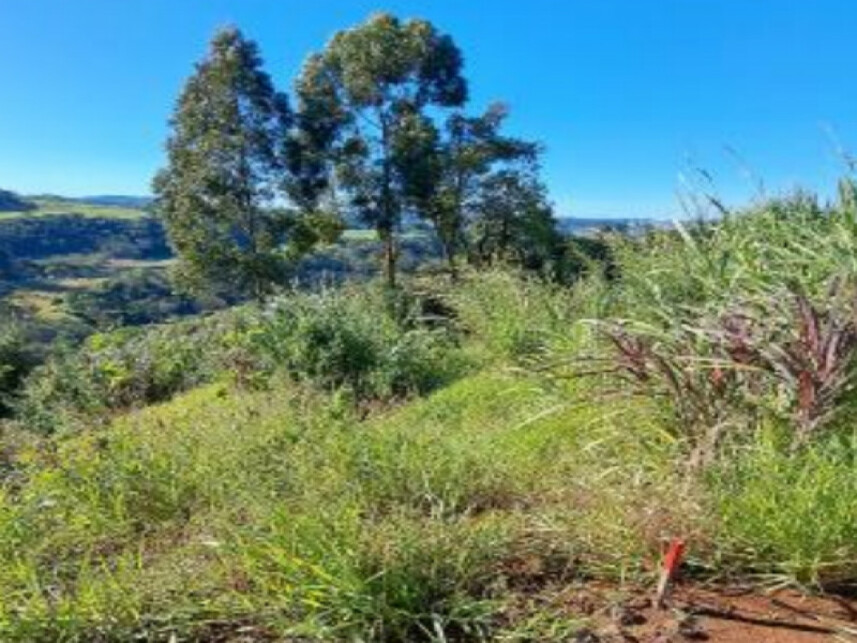 Imagem 3 do Leilão de Terreno - Interior - Cordilheira Alta/SC