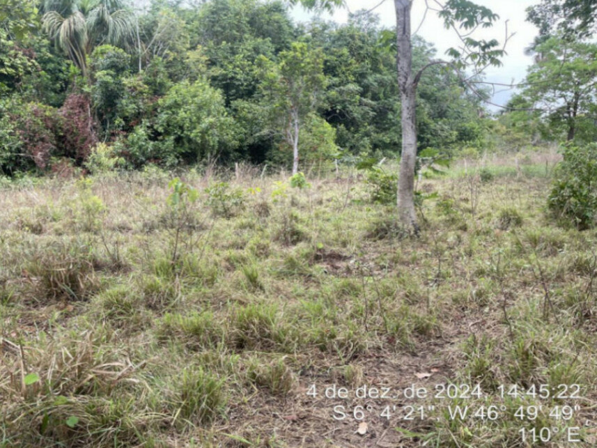 Imagem 4 do Leilão de Fazenda - Zona Rural - Lajeado Novo/MA