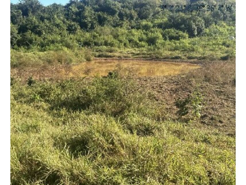Imagem 8 do Leilão de Área Rural - Zona Rural - Itaipava do Grajaú/MA