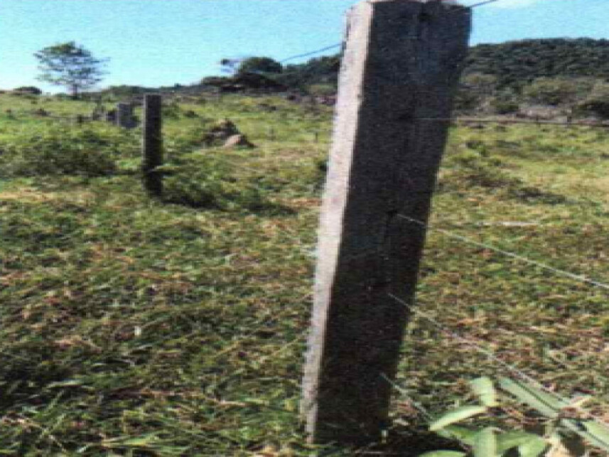 Imagem 5 do Leilão de Área Rural - Zona Rural - Ministro Andreazza/RO