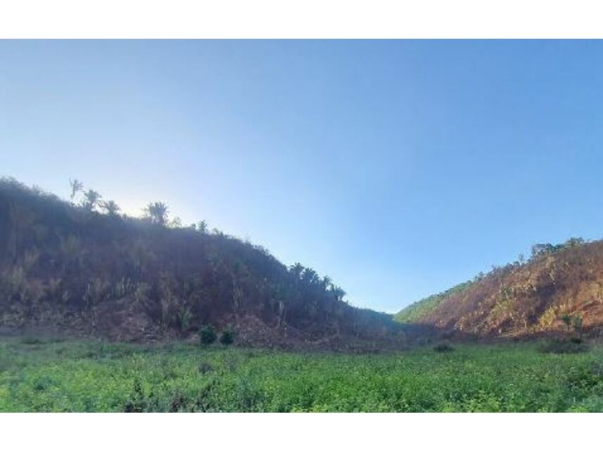 Imagem 6 do Leilão de Área Rural - Zona Rural - Paulo Ramos/MA