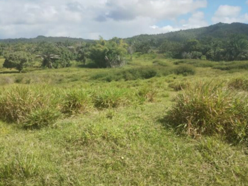 Imagem 2 do Leilão de Terreno - Parque das Margaridas - Salinas da Margarida/BA