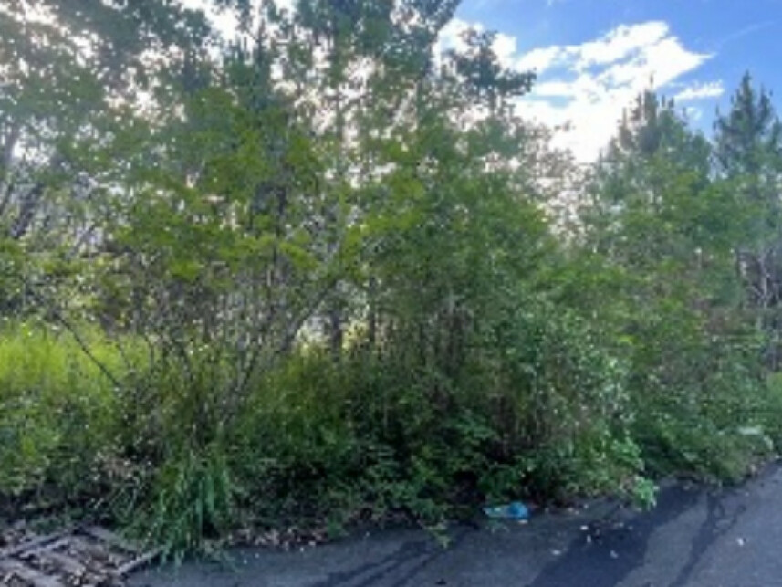 Imagem 3 do Leilão de Fazenda - Fazenda - Itajaí/SC