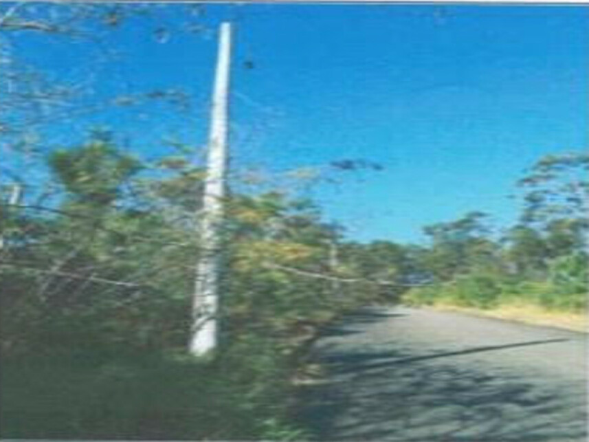 Imagem 7 do Leilão de Fazenda - Fazenda - Itajaí/SC