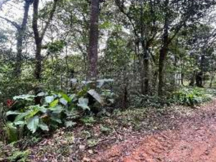 Imagem 6 do Leilão de Área Rural - Progresso - Blumenau/SC