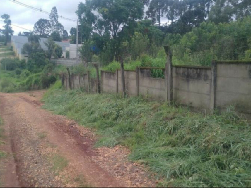 Imagem 3 do Leilão de Terreno - Colônia Dona Luíza - Ponta Grossa/PR